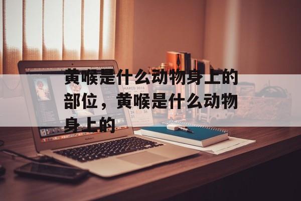 黄喉是什么动物身上的部位，黄喉是什么动物身上的-第1张图片-