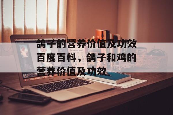鸽子的营养价值及功效百度百科，鸽子和鸡的营养价值及功效-第1张图片-