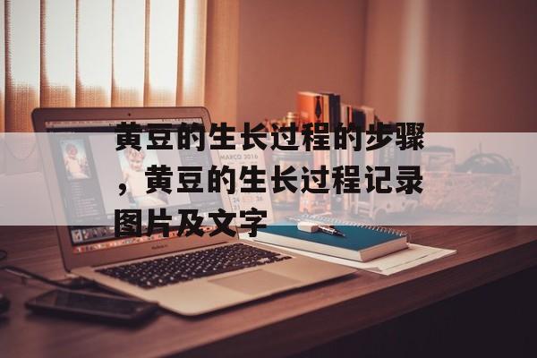 黄豆的生长过程的步骤，黄豆的生长过程记录图片及文字-第1张图片-