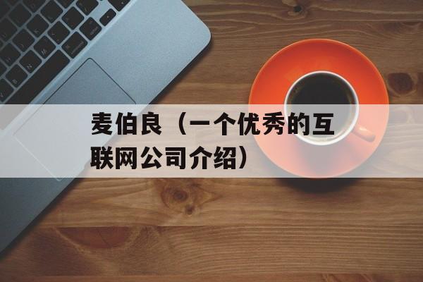 麦伯良（一个优秀的互联网公司介绍）-第1张图片-