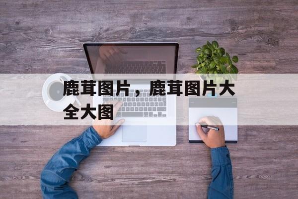 鹿茸图片，鹿茸图片大全大图-第1张图片-
