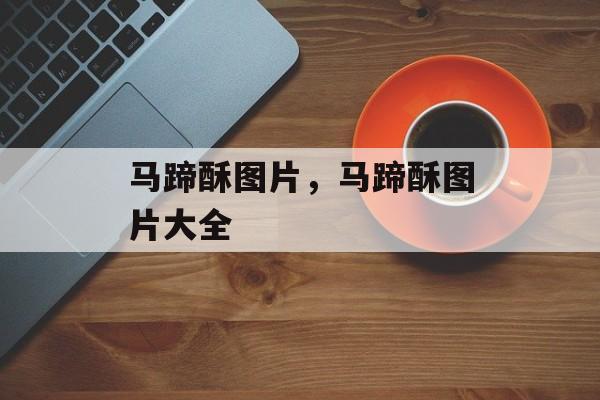马蹄酥图片，马蹄酥图片大全-第1张图片-