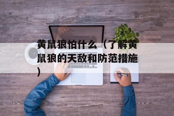 黄鼠狼怕什么（了解黄鼠狼的天敌和防范措施）-第1张图片-