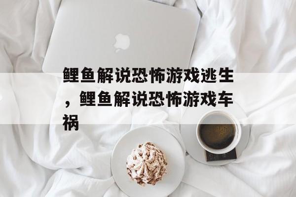 鲤鱼解说恐怖游戏逃生，鲤鱼解说恐怖游戏车祸-第1张图片-