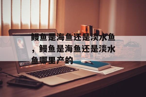 鳗鱼是海鱼还是淡水鱼，鳗鱼是海鱼还是淡水鱼哪里产的-第1张图片-
