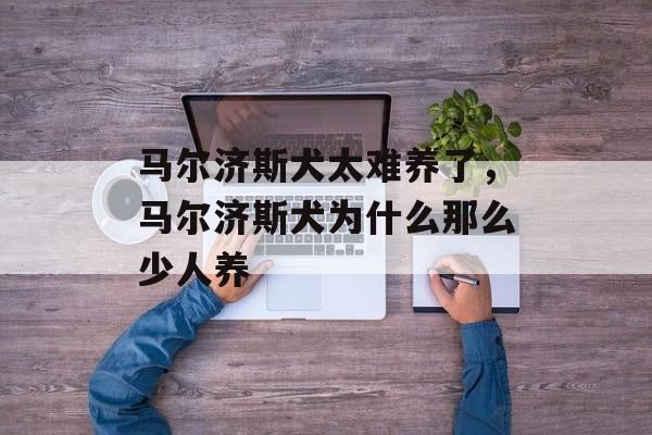 马尔济斯犬太难养了，马尔济斯犬为什么那么少人养-第1张图片-