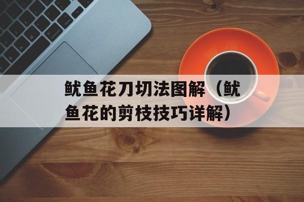 鱿鱼花刀切法图解（鱿鱼花的剪枝技巧详解）-第1张图片-