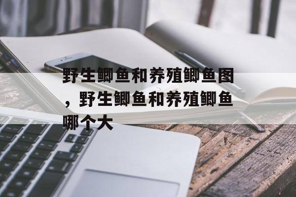 野生鲫鱼和养殖鲫鱼图，野生鲫鱼和养殖鲫鱼哪个大-第1张图片-