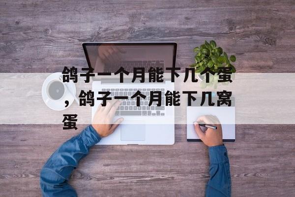 鸽子一个月能下几个蛋，鸽子一个月能下几窝蛋-第1张图片-