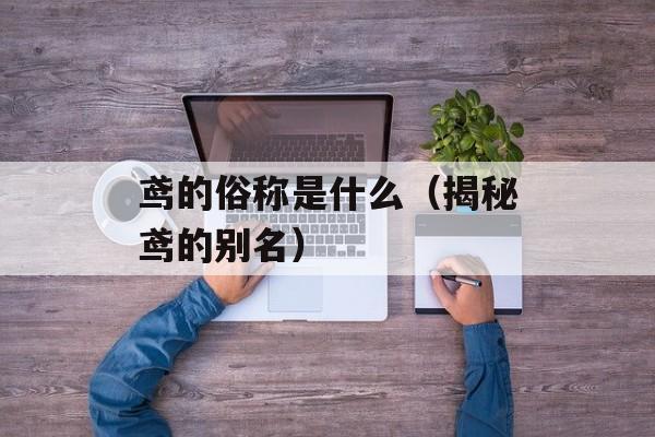 鸢的俗称是什么（揭秘鸢的别名）-第1张图片-
