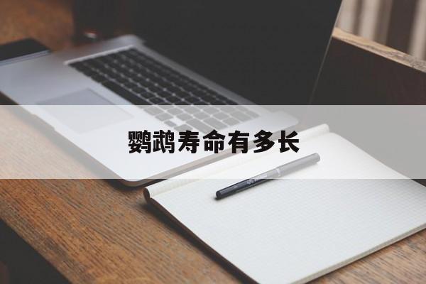 鹦鹉寿命有多长-第1张图片-