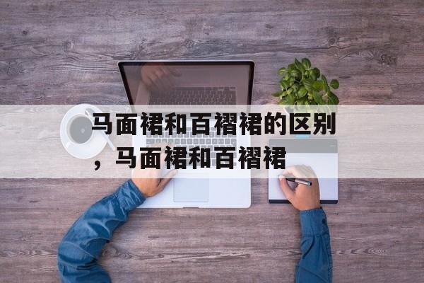 马面裙和百褶裙的区别，马面裙和百褶裙-第1张图片-