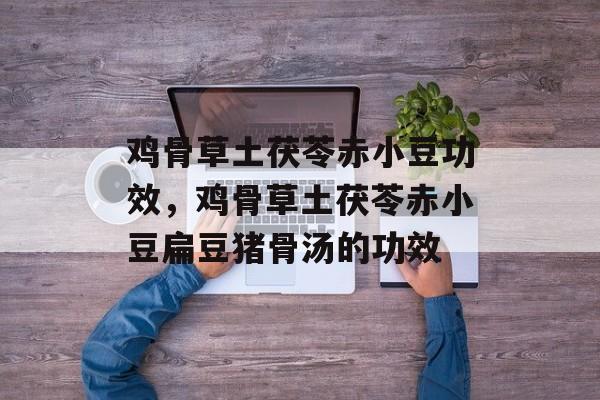 鸡骨草土茯苓赤小豆功效，鸡骨草土茯苓赤小豆扁豆猪骨汤的功效-第1张图片-