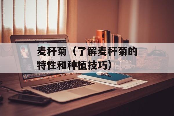 麦秆菊（了解麦秆菊的特性和种植技巧）-第1张图片-