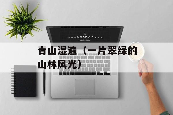青山湿遍（一片翠绿的山林风光）-第1张图片-