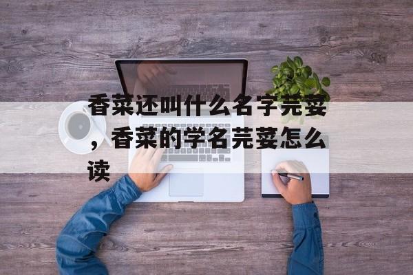 香菜还叫什么名字芫荽，香菜的学名芫荽怎么读-第1张图片-