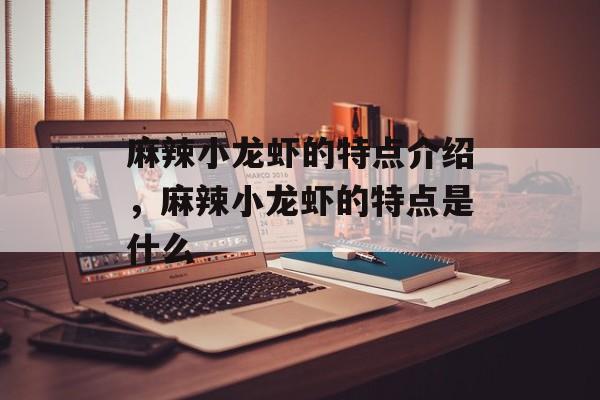 麻辣小龙虾的特点介绍，麻辣小龙虾的特点是什么-第1张图片-