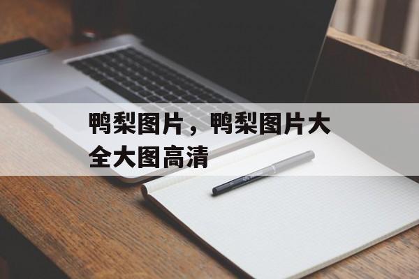 鸭梨图片，鸭梨图片大全大图高清-第1张图片-