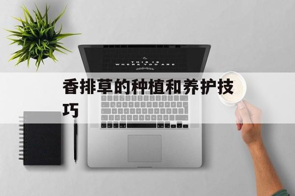 香排草的种植和养护技巧-第1张图片-
