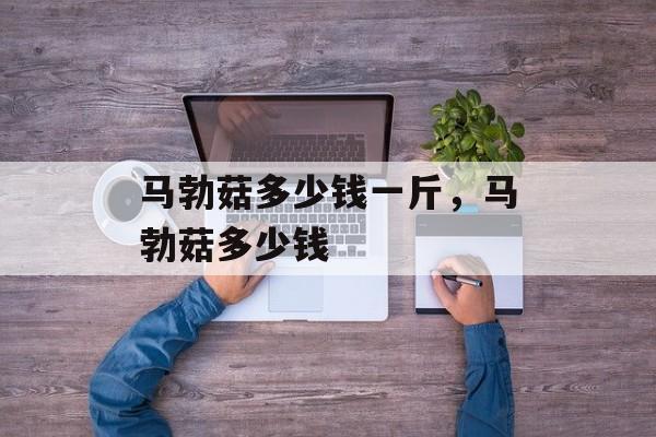 马勃菇多少钱一斤，马勃菇多少钱-第1张图片-