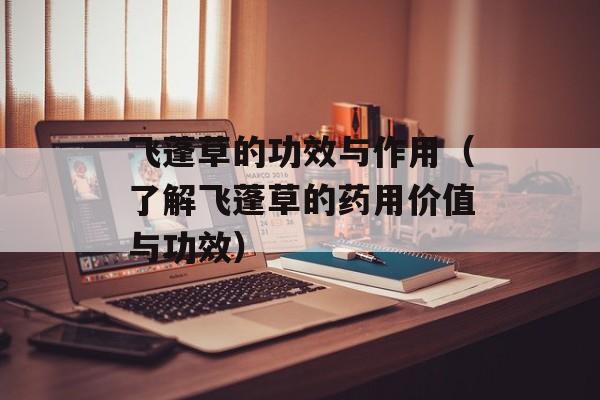 飞蓬草的功效与作用（了解飞蓬草的药用价值与功效）-第1张图片-