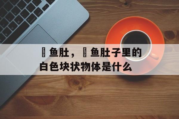 鮰鱼肚，鮰鱼肚子里的白色块状物体是什么-第1张图片-