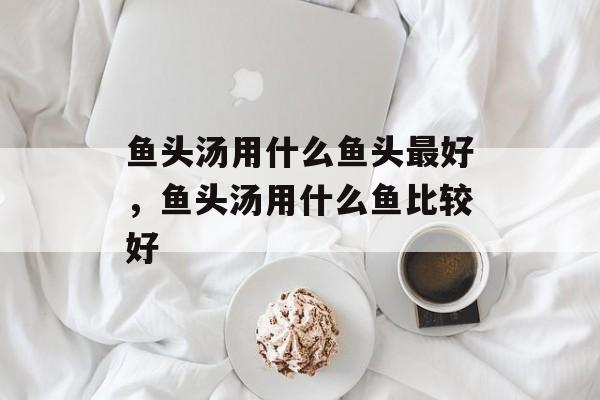 鱼头汤用什么鱼头最好，鱼头汤用什么鱼比较好-第1张图片-