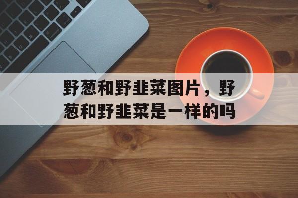 野葱和野韭菜图片，野葱和野韭菜是一样的吗-第1张图片-