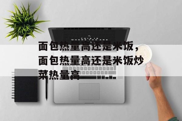 面包热量高还是米饭，面包热量高还是米饭炒菜热量高-第1张图片-