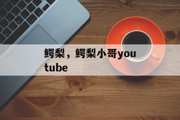 鳄梨，鳄梨小哥youtube-第1张图片-