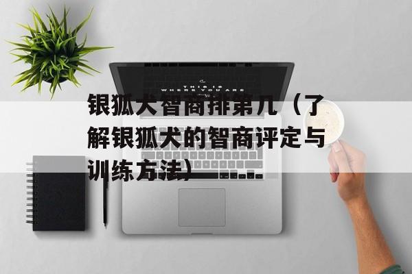 银狐犬智商排第几（了解银狐犬的智商评定与训练方法）-第1张图片-