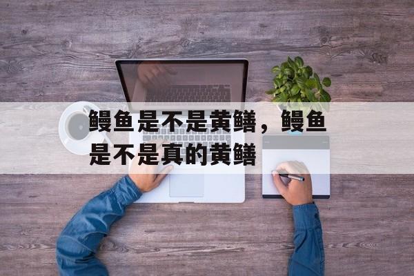 鳗鱼是不是黄鳝，鳗鱼是不是真的黄鳝-第1张图片-