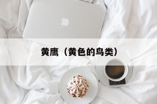 黄鹰（黄色的鸟类）-第1张图片-