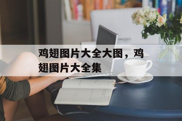 鸡翅图片大全大图，鸡翅图片大全集-第1张图片-