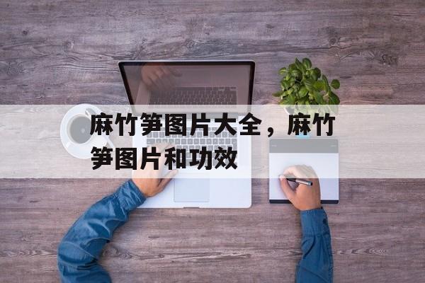 麻竹笋图片大全，麻竹笋图片和功效-第1张图片-