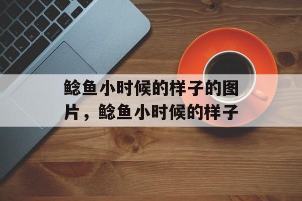 鲶鱼小时候的样子的图片，鲶鱼小时候的样子-第1张图片-