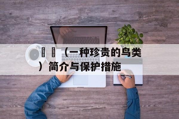 鶺鴒（一种珍贵的鸟类）简介与保护措施-第1张图片-