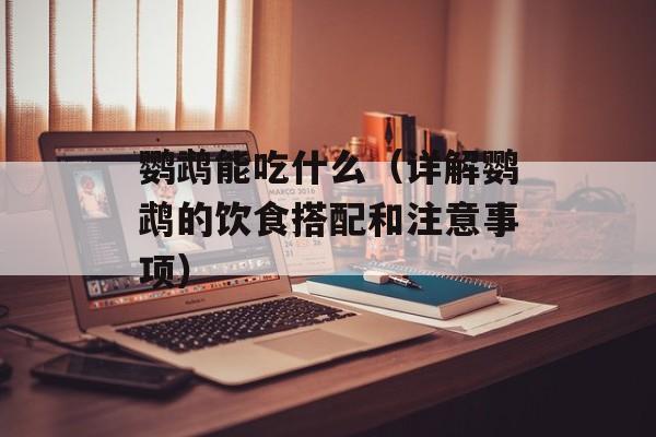 鹦鹉能吃什么（详解鹦鹉的饮食搭配和注意事项）-第1张图片-