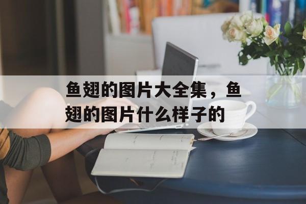 鱼翅的图片大全集，鱼翅的图片什么样子的-第1张图片-