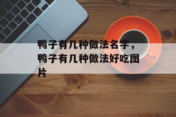 鸭子有几种做法名字，鸭子有几种做法好吃图片-第1张图片-