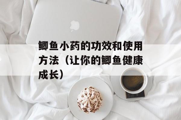 鲫鱼小药的功效和使用方法（让你的鲫鱼健康成长）-第1张图片-