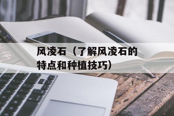 风凌石（了解风凌石的特点和种植技巧）-第1张图片-