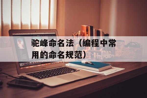 驼峰命名法（编程中常用的命名规范）-第1张图片-