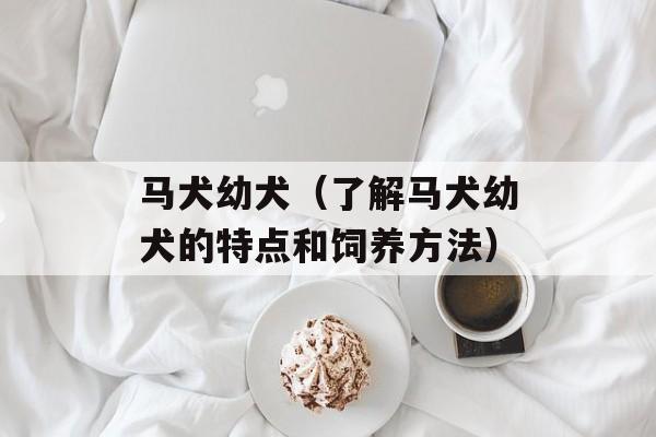 马犬幼犬（了解马犬幼犬的特点和饲养方法）-第1张图片-