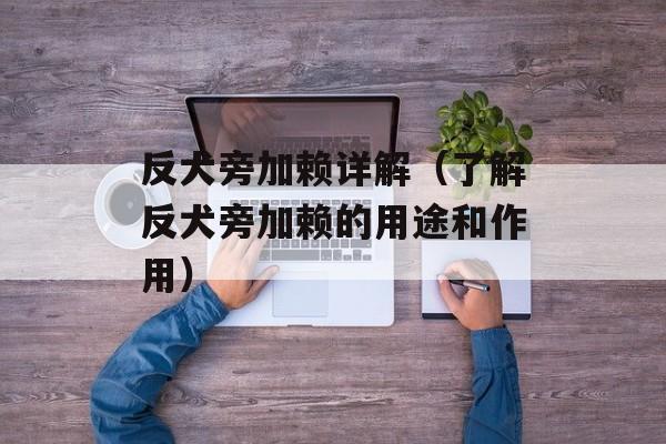 反犬旁加赖详解（了解反犬旁加赖的用途和作用）-第1张图片-
