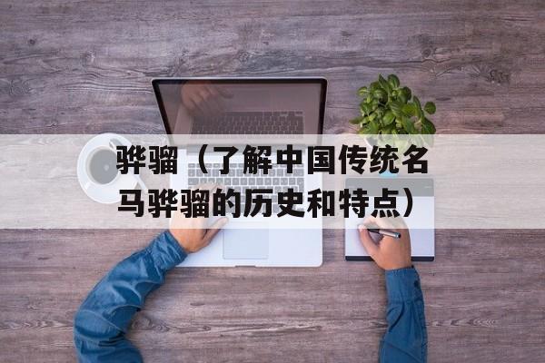 骅骝（了解中国传统名马骅骝的历史和特点）-第1张图片-