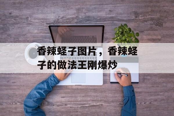 香辣蛏子图片，香辣蛏子的做法王刚爆炒-第1张图片-