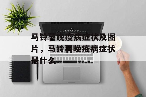 马铃薯晚疫病症状及图片，马铃薯晚疫病症状是什么-第1张图片-