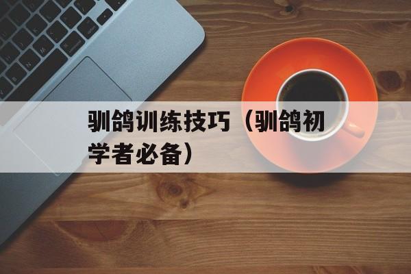 驯鸽训练技巧（驯鸽初学者必备）-第1张图片-