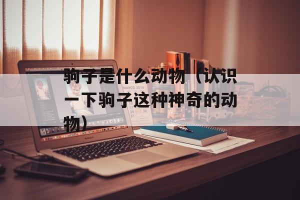 驹子是什么动物（认识一下驹子这种神奇的动物）-第1张图片-